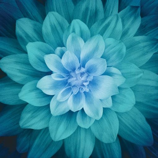 Dream Big Teal Panel