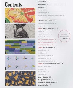 Alternative view of Free-motion Quilting from Ordinary to Extraordinary