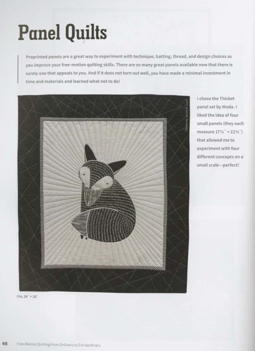 Free-motion Quilting from Ordinary to Extraordinary - Image 4