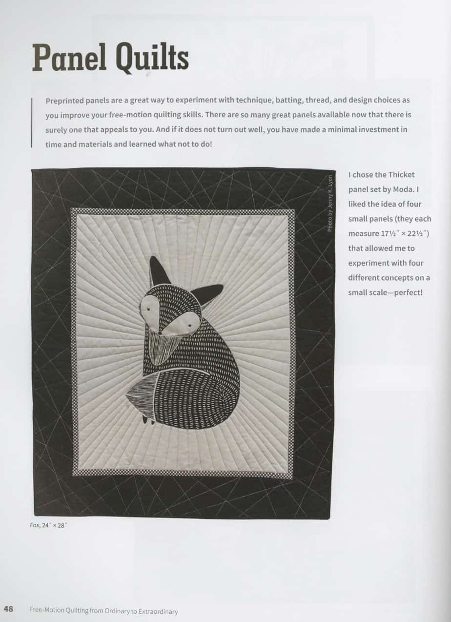 Free-Motion Quilting from Ordinary to Extraordinary - Image 5