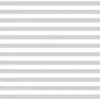 Fundamentals 1/2" stripe -Silver Gum