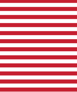Fundamentals 1/2" stripe -Red Delicious