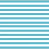 Fundamentals 1/2" stripe - Barrier Blue