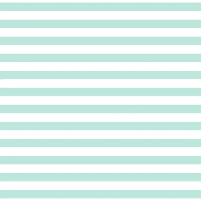 Fundamentals 1/2" stripe -Seafoam