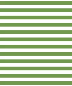 Fundamentals 1/2" stripe -Crocodile