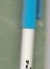 Blue Wash Out Pen