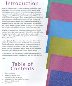 Alternative view of Machine Quilting for Beginners