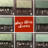 Wine glass charms