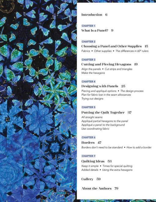 One-Block Wonder Panel Quilts - Image 4