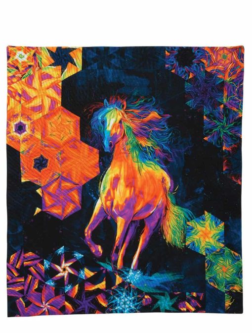 One-Block Wonder Panel Quilts - Image 5