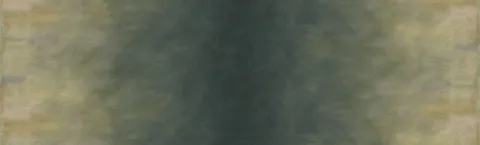 Slate Sky Ombré wide fabric